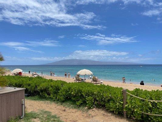 photo of Jennifer B.