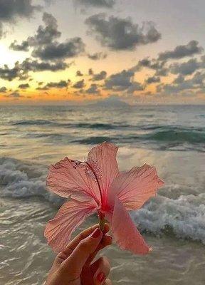 photo of LiveLaughLove S.