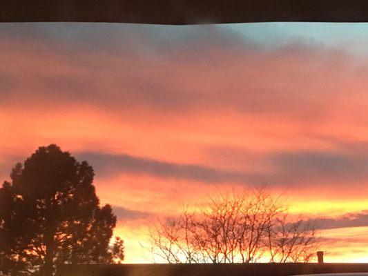 photo of Michelle M.