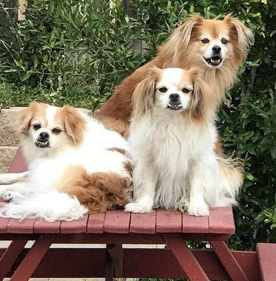 photo of Michael Jefferson G.