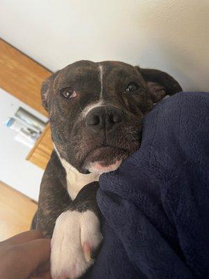 Photo of Catherine M.