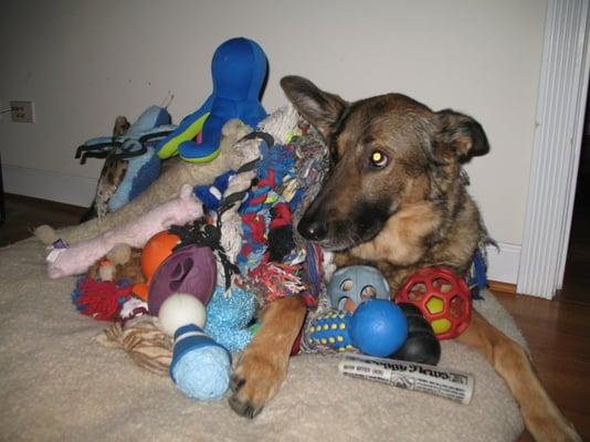 Photo of Bex F.