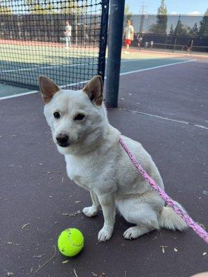 Photo of Cathleen C.