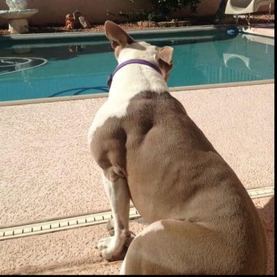 photo of Christian M.