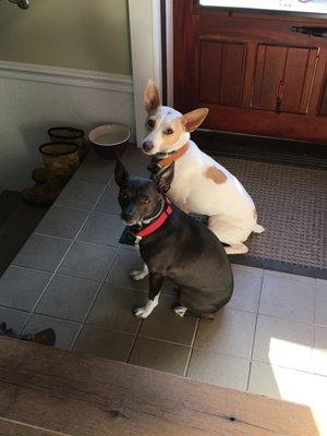 photo of Elizabeth K.