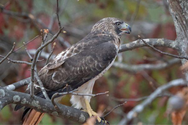 photo of Caroline E.