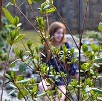 photo of Maddie K.