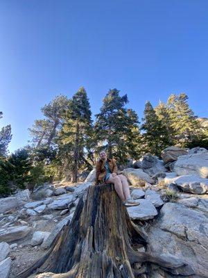 Photo of Arielle S.