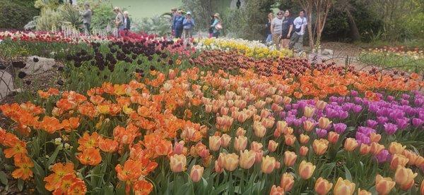 photo of michelle k.