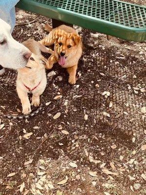 photo of Virginia M.