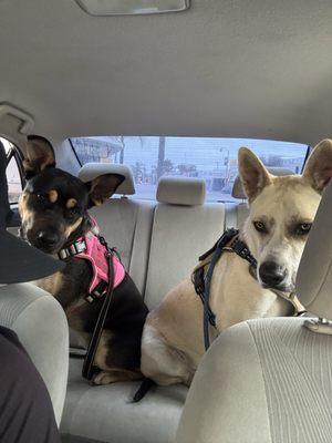 photo of Christopher F.