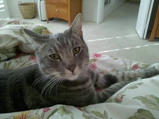 Photo of Susie C.