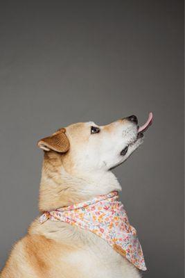 Photo of Trista W.