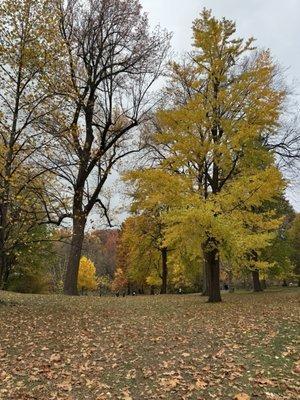 photo of Patricia L.