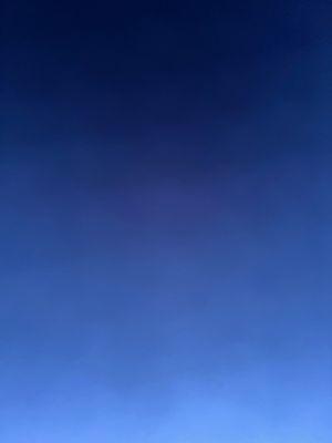 Photo of JalonAshley P.