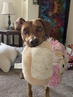 photo of Kayleigh M.