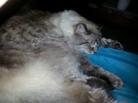 photo of Jennifer C.