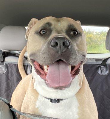 photo of Mahealani K.