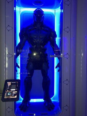 photo of Jennifer C.