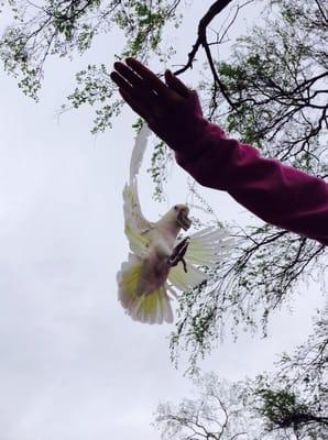 photo of Christina G.