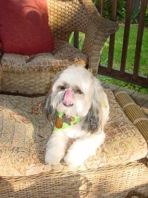 Photo of Jennifer R.