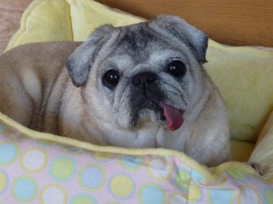 photo of Danielle E.