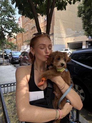 Photo of Cookie A.
