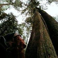 photo of Jennifer H.