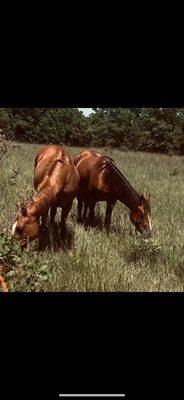 photo of Jennifer B.