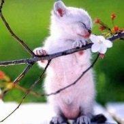 Photo of Catherine W.