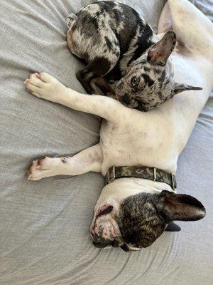 photo of Samantha P.