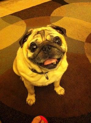 Photo of Victoria A.