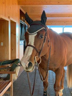 Photo of Bridgette T.