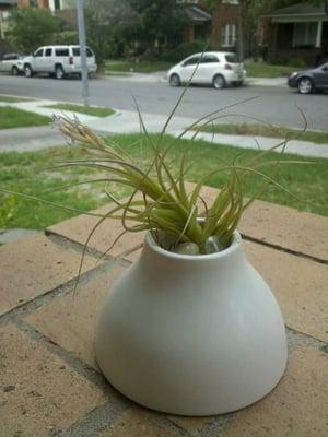 photo of Stephanie F.