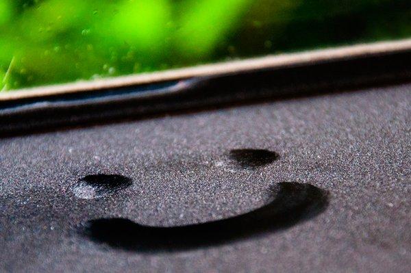 photo of Isabelle P.