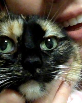 Photo of Moki B.