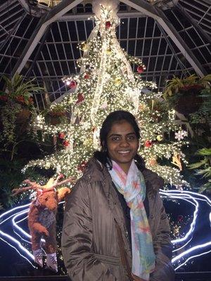 Photo of Sneha N.