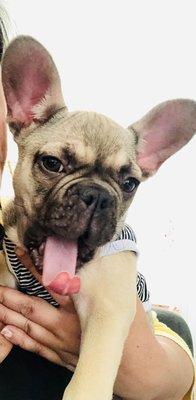 photo of Kimberly T.