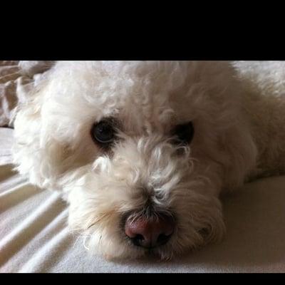 photo of Jamielee A.