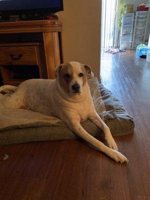 photo of Raymond Aguirre ..