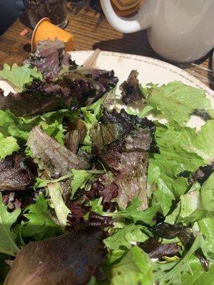 photo of My Linh Waldrop W.