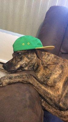 photo of Jeremy T. G.