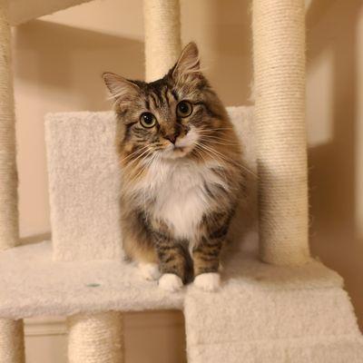 Photo of Angela T.