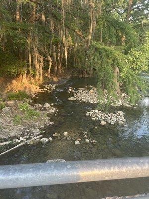 photo of Isabelle L.