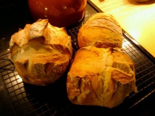 photo of Christina W.