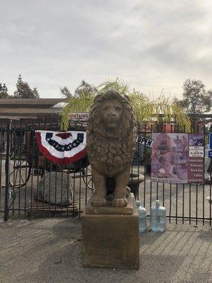 photo of James Jr A.