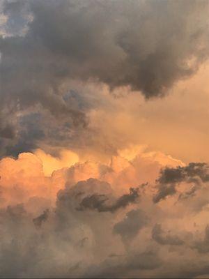 Photo of Dayanara M.