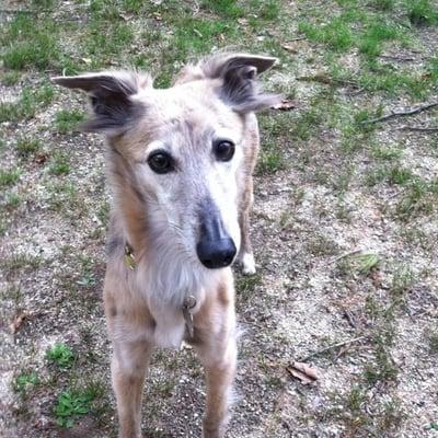 photo of Cassandra L.