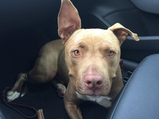 photo of Christian P.