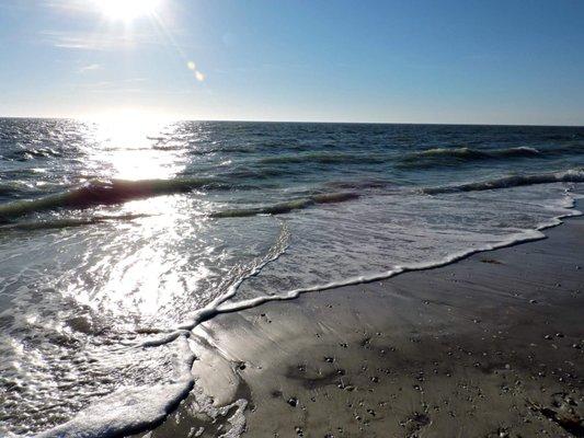 photo of Jannette F.